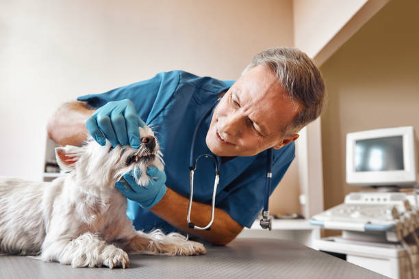 Best 24-Hour Emergency Dentist in North Randall, OH